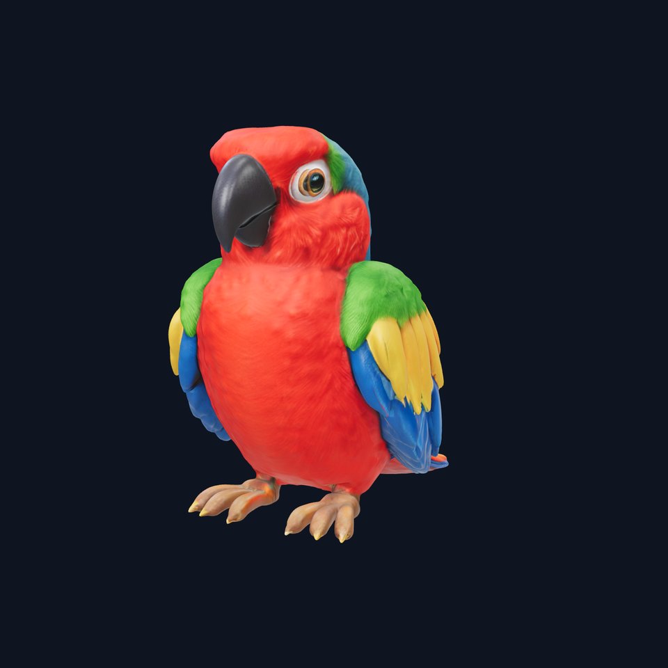 Colorful Parrot D Model Pack for Animation and Games